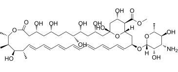 Amphotericin B methyl ester 36148-89-7